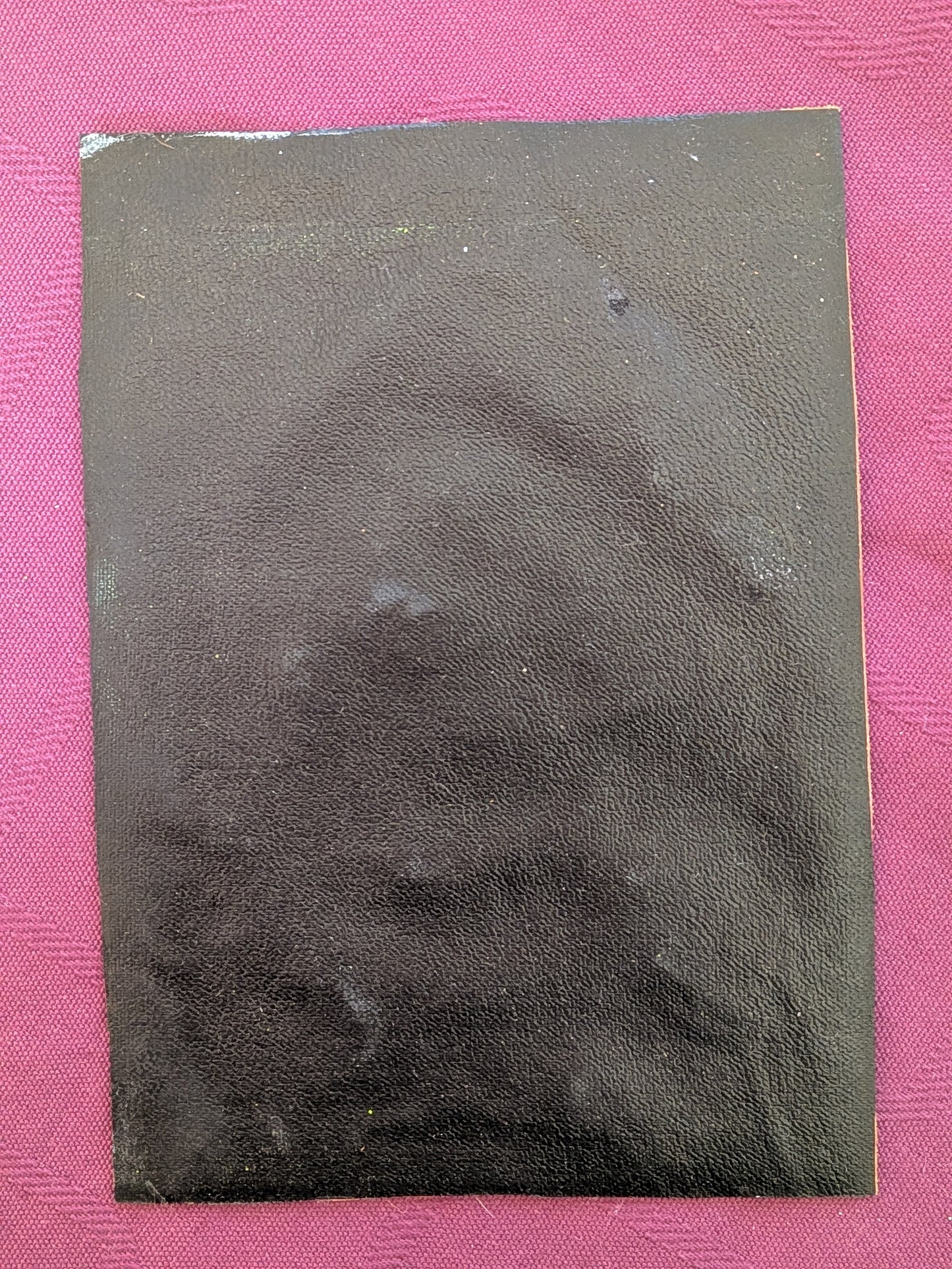 Rare Gravure sur Cuir Repoussé – Design Traditionnel de Cerf-Volant de Tsugaru (Japon)