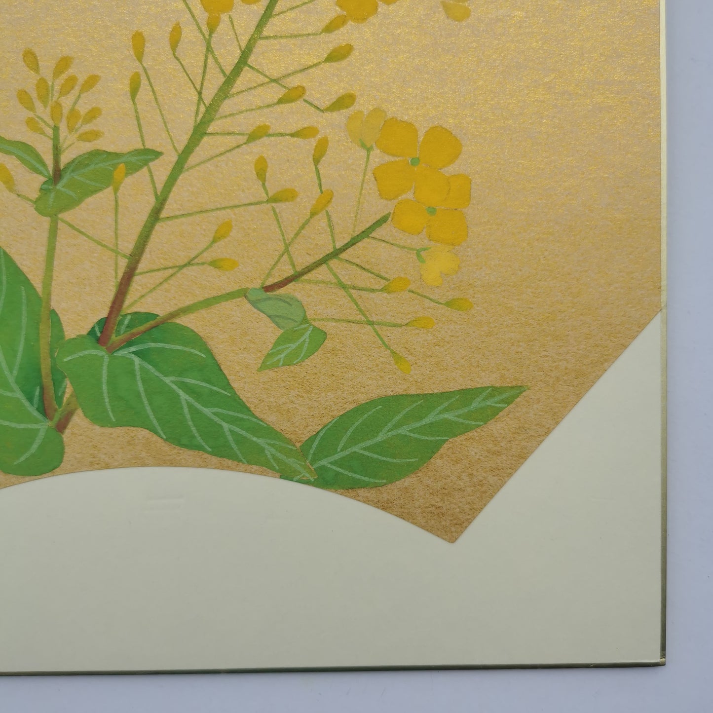 Peinture d'art floral, Oeuvre d'art originale de fleur de colza, décoration murale d'un dessin de fleur par un artiste Japonais sur Shikishi