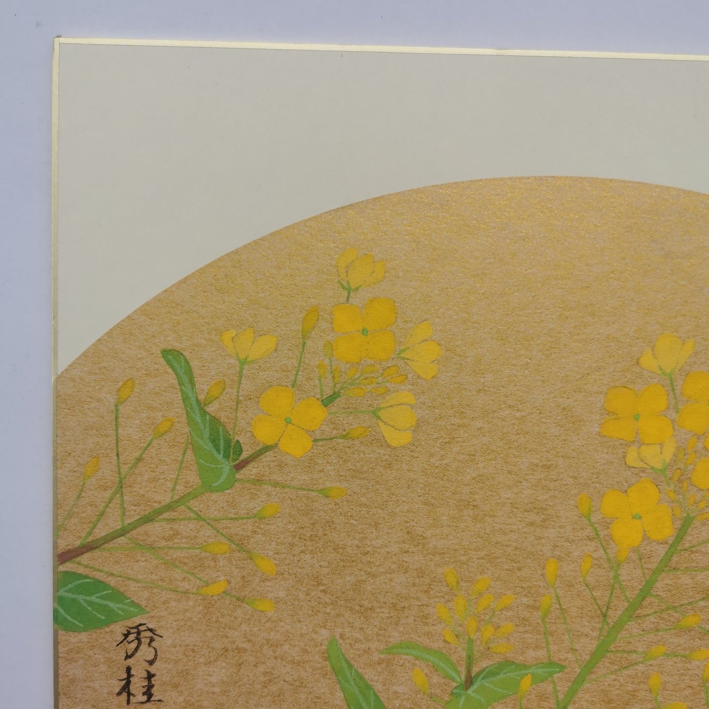 Peinture d'art floral, Oeuvre d'art originale de fleur de colza, décoration murale d'un dessin de fleur par un artiste Japonais sur Shikishi