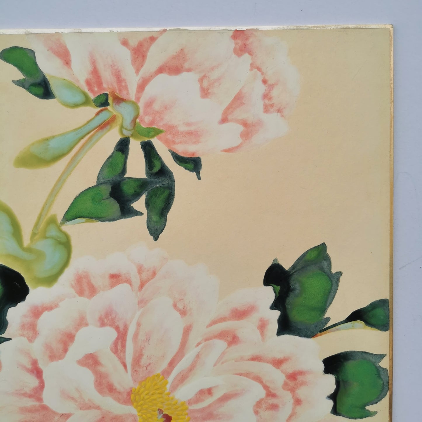 Fleur de pivoine, Shikishi Japonais