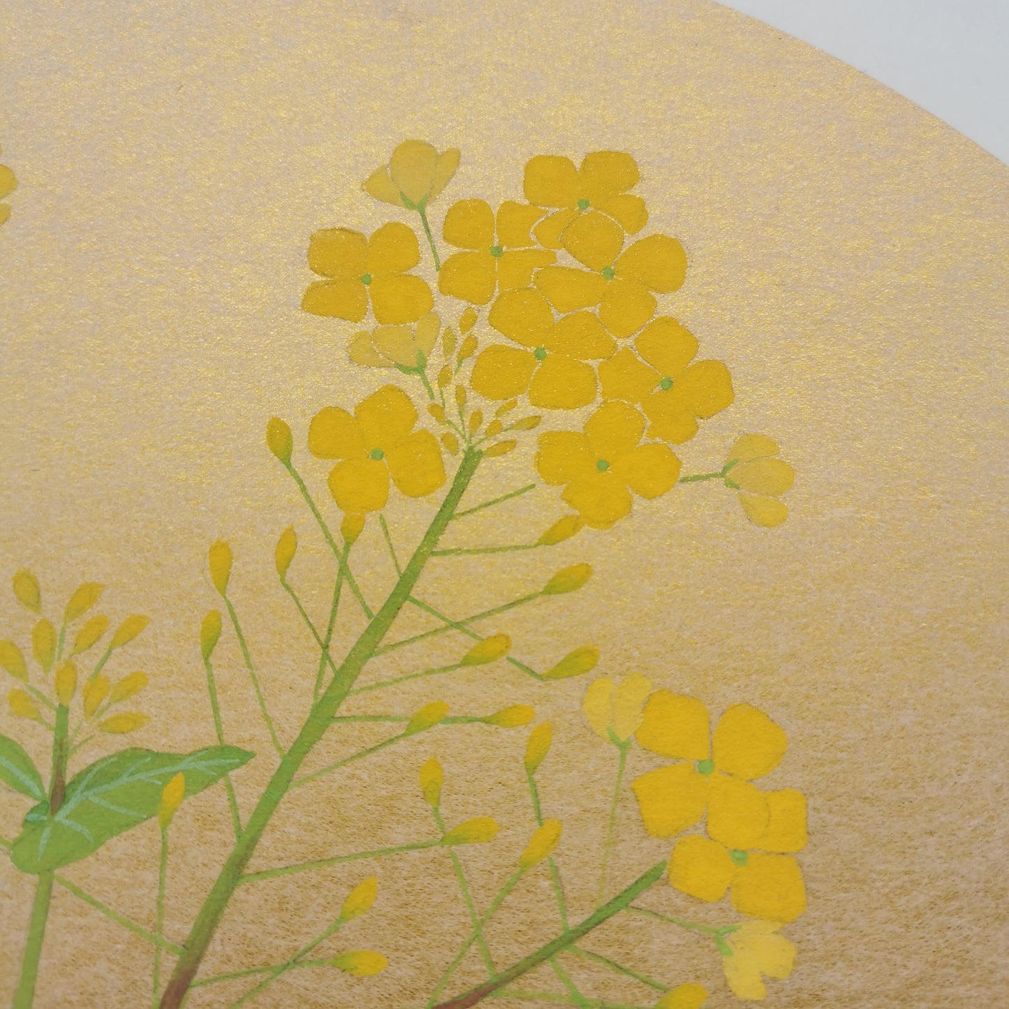 Peinture d'art floral, Oeuvre d'art originale de fleur de colza, décoration murale d'un dessin de fleur par un artiste Japonais sur Shikishi