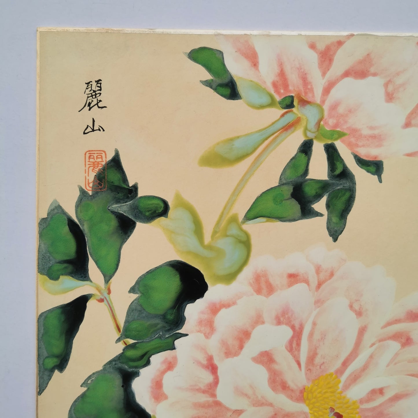 Fleur de pivoine, Shikishi Japonais