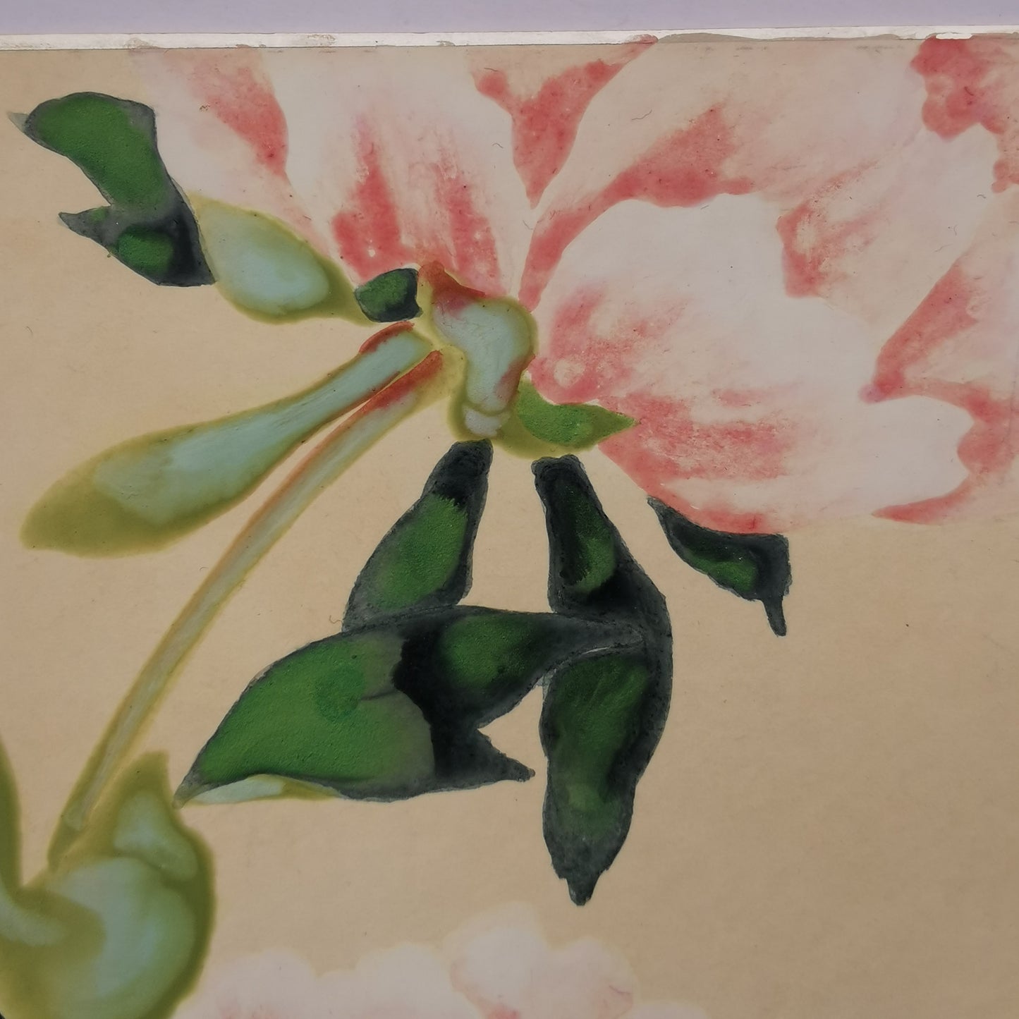 Fleur de pivoine, Shikishi Japonais