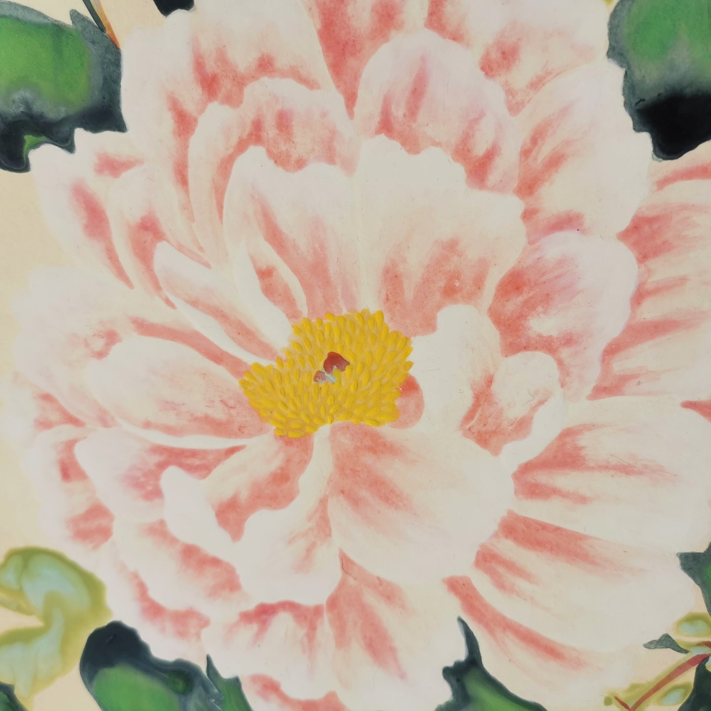 Fleur de pivoine, Shikishi Japonais