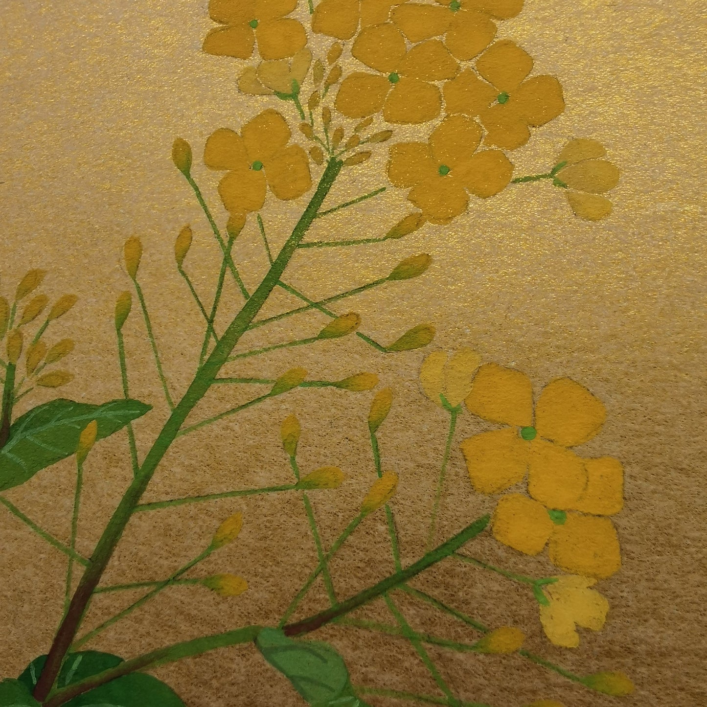 Peinture d'art floral, Oeuvre d'art originale de fleur de colza, décoration murale d'un dessin de fleur par un artiste Japonais sur Shikishi